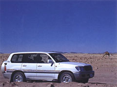 Land Cruiser 100- 
